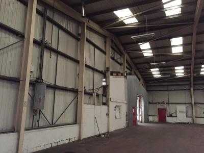 131 ft x 100 ft x 23 ft - (40m x 30.5m x 7m) Used Steel Building