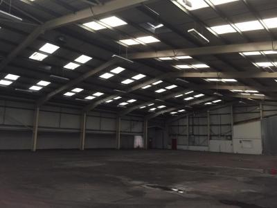 131 ft x 100 ft x 23 ft - (40m x 30.5m x 7m) Used Steel Building